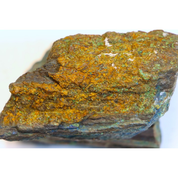 fossil wood with azurite malachite inclued