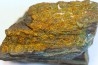 fossil wood with azurite malachite inclued
