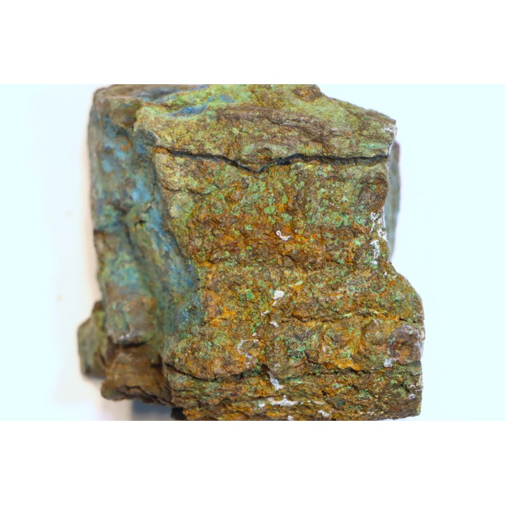 superbe bois fossile en azurite malachite