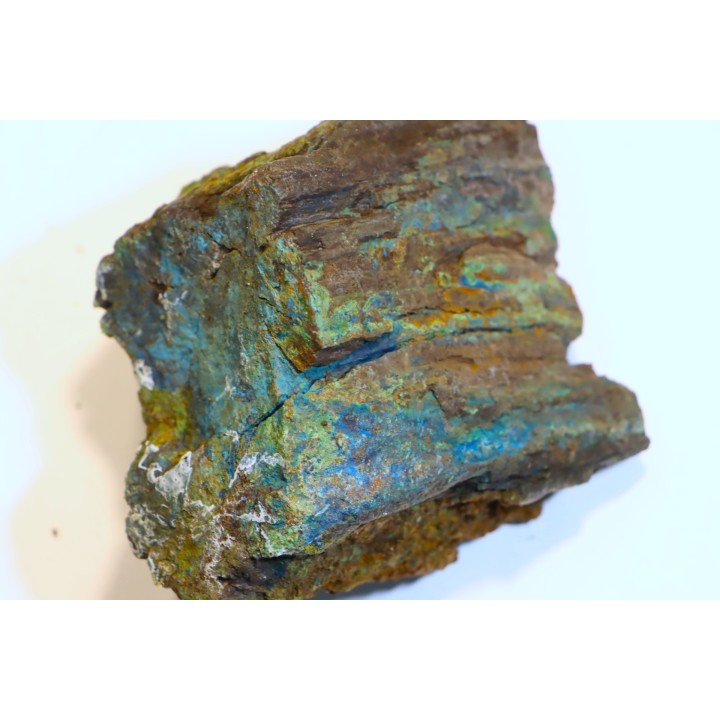 fossil wood with azurite malachite inclued