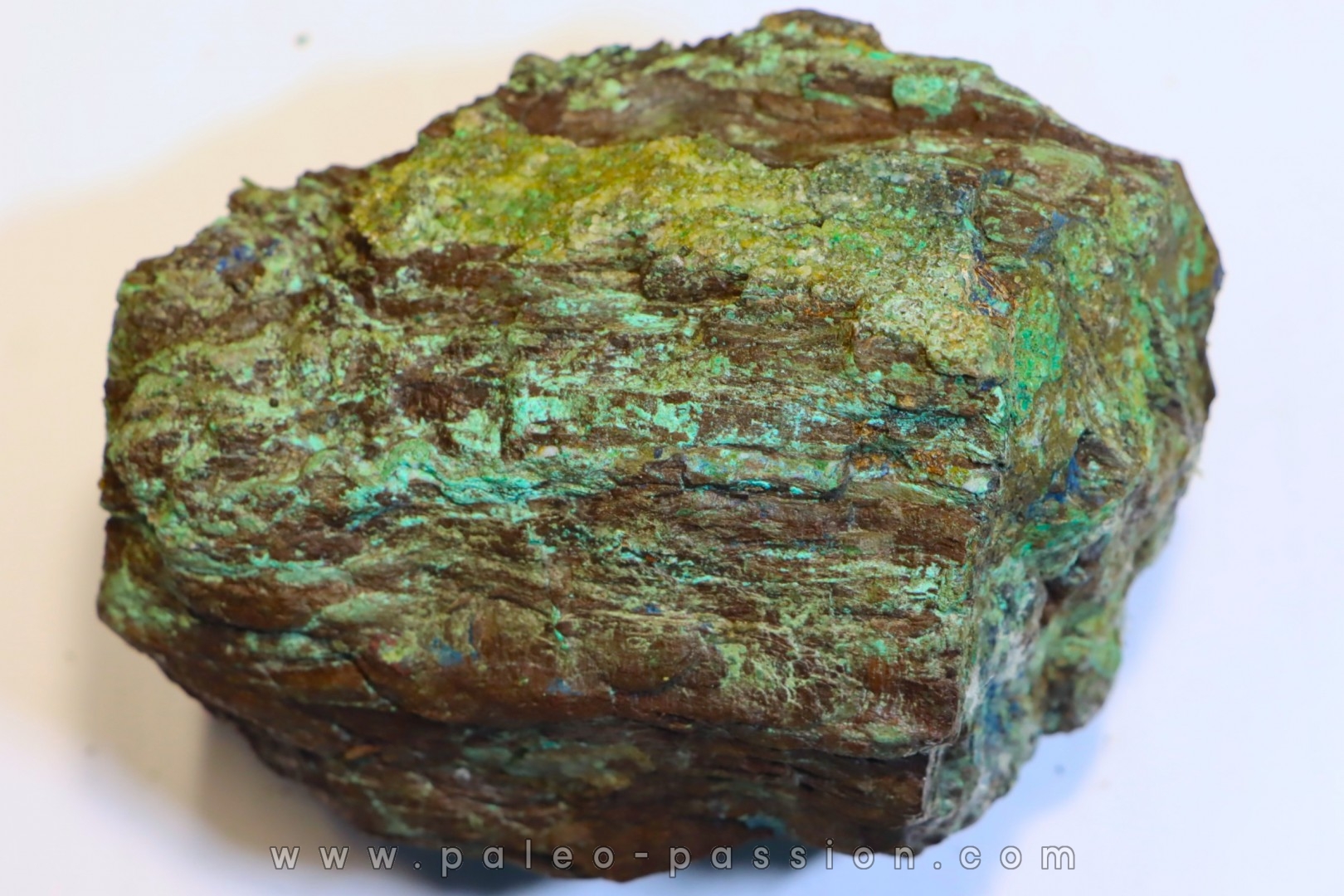 superbe bois fossile en azurite malachite