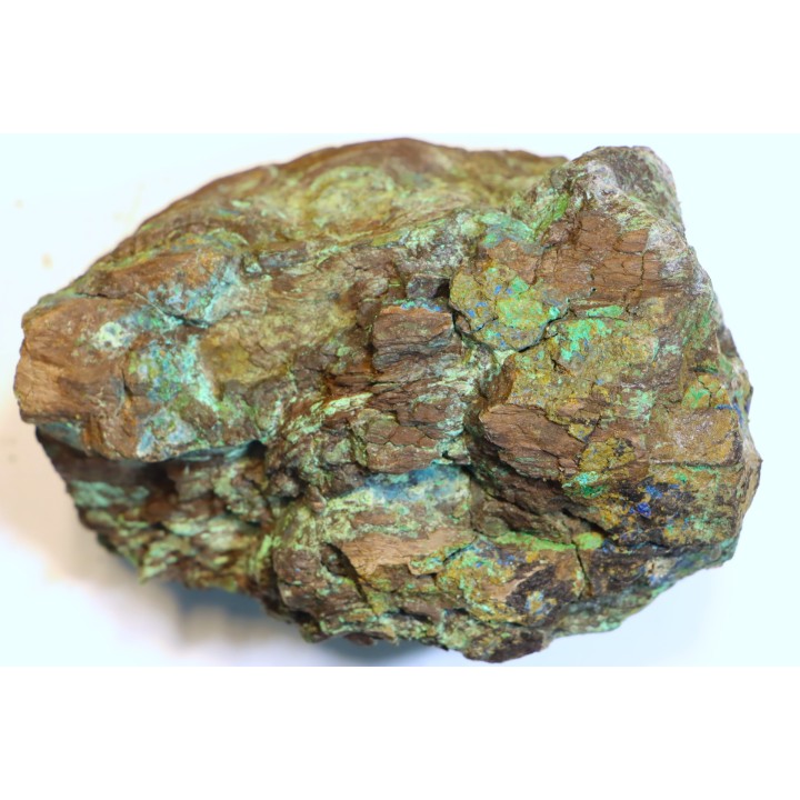 fossil wood with azurite malachite inclued