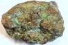 fossil wood with azurite malachite inclued