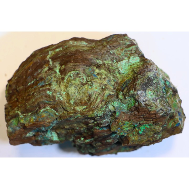 fossil wood with azurite malachite inclued