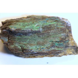 superbe bois fossile en azurite malachite