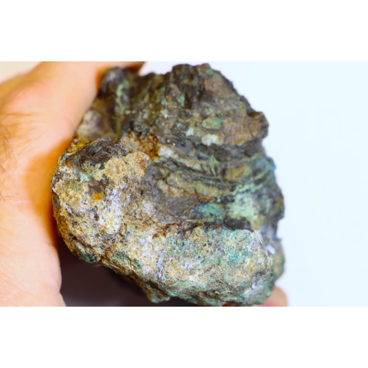 fossil wood with azurite malachite inclued