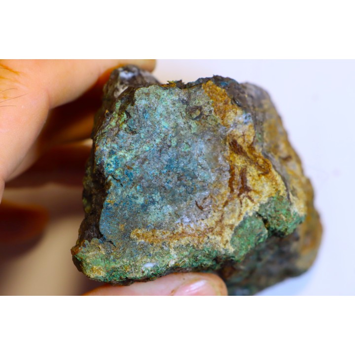 superbe bois fossile en azurite malachite