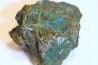 superbe bois fossile en azurite malachite