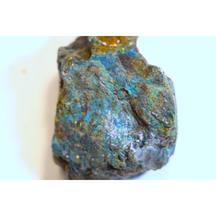 fossil wood with azurite malachite inclued