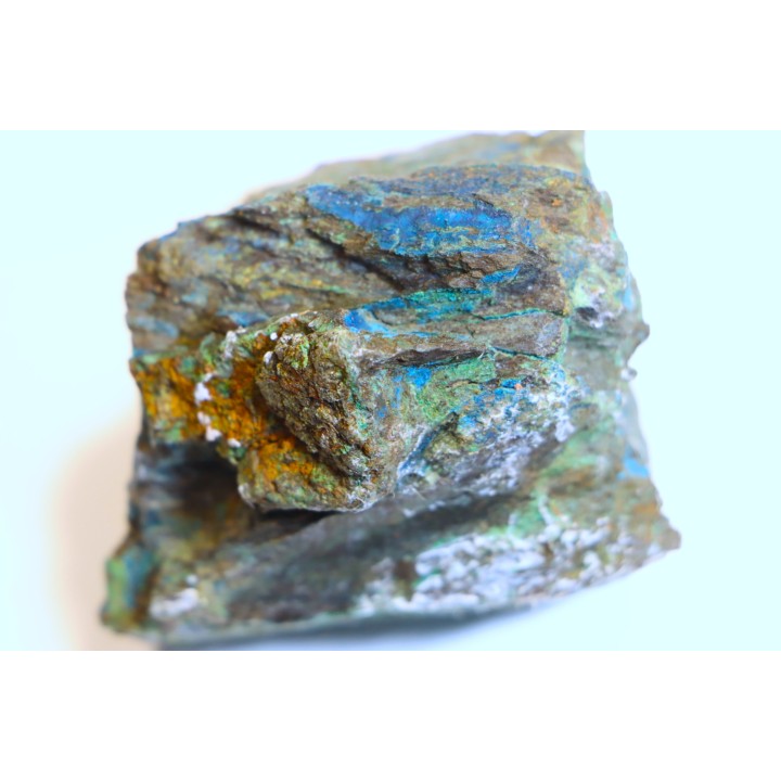 fossil wood with azurite malachite inclued
