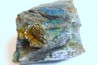 fossil wood with azurite malachite inclued