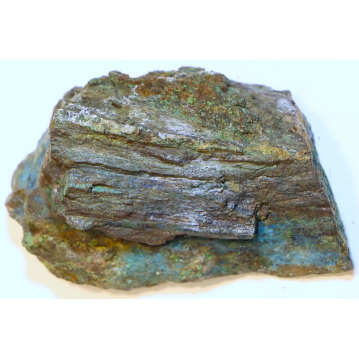 fossil wood with azurite malachite inclued