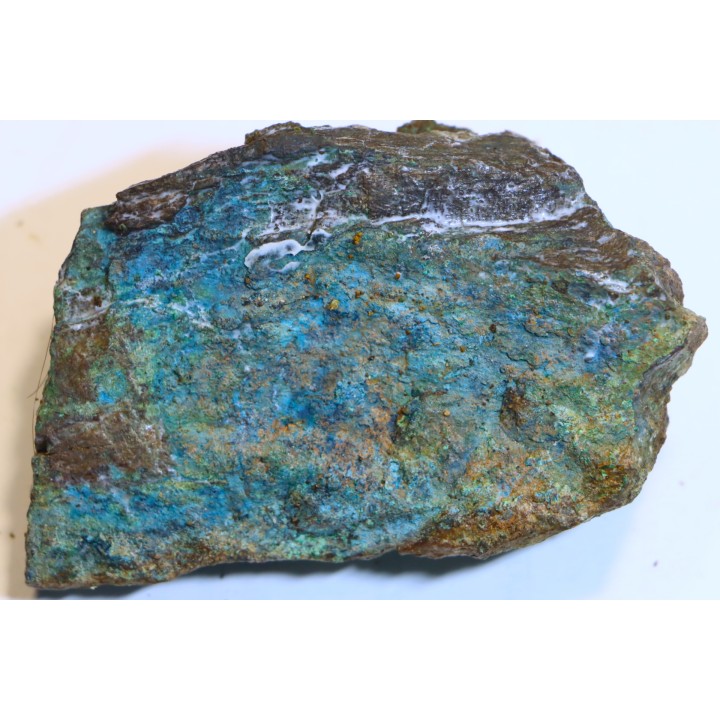 fossil wood with azurite malachite inclued
