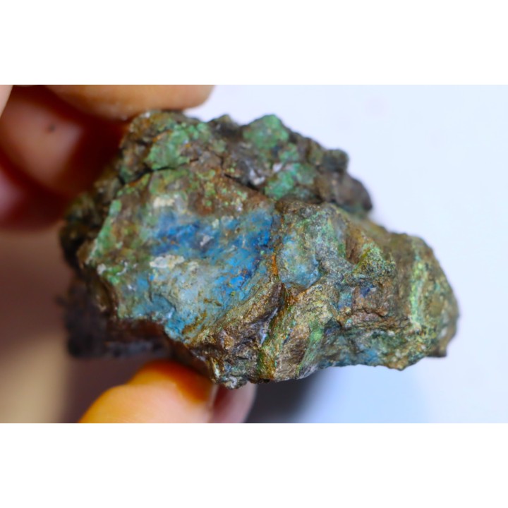 fossil wood with azurite malachite inclued