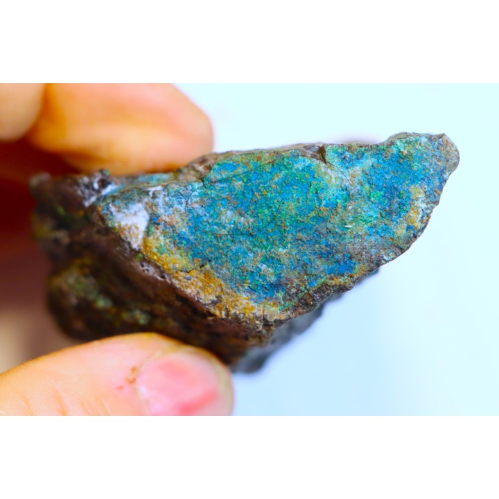 superbe bois fossile en azurite malachite