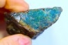 fossil wood with azurite malachite inclued