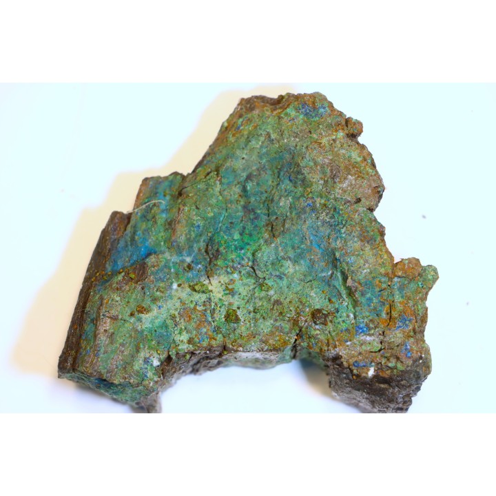 superbe bois fossile en azurite malachite