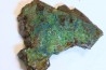 fossil wood with azurite malachite inclued