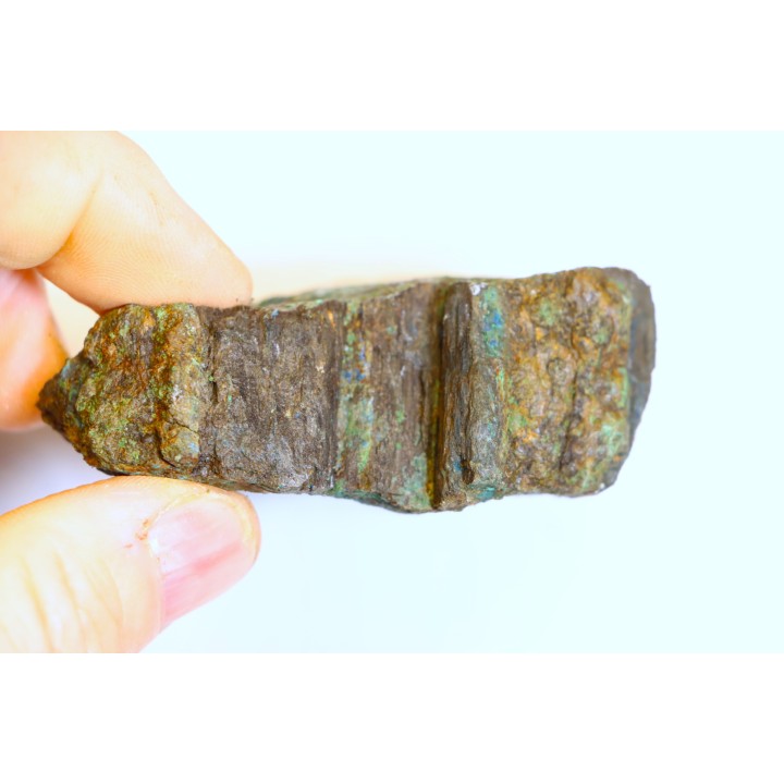 superbe bois fossile en azurite malachite