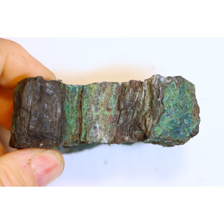 fossil wood with azurite malachite inclued