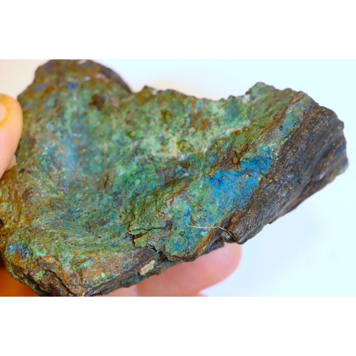 superbe bois fossile en azurite malachite