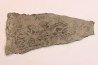 TENTACULITES Manlius Limestone Helderbergian Group Lower DEVONIAN New Salen, New York - USA
