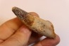 dent de dinosaure SPINOSAURUS AEGYPTIACUS