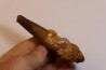 SPINOSAURUS AEGYPTIACUS