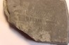 Ogygopsis klotzi - Early Middle Cambrian - Metaline fmt, Metaline Falls, WA, USA