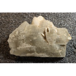 Gypsum crystal  with fossils seashell inclusion - Nouakchott, MAURITANIA