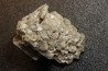 Gypsum crystal  with fossils seashell inclusion - Nouakchott, MAURITANIA