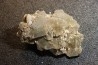 Gypsum crystal  with fossils seashell inclusion - Nouakchott, MAURITANIA