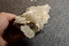 Gypsum crystal  with fossils seashell inclusion - Nouakchott, MAURITANIA