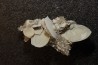 Gypsum crystal  with fossils seashell inclusion - Nouakchott, MAURITANIA
