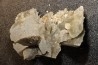 Inclusions de coquilles fossiles dans des cristaux de Gypse - Nouakchott, MAURITANIE