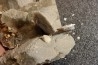 Gypsum crystal with fossils seashell inclusion - Nouakchott, MAURITANIA