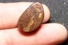 OPALE BOULDER- Australie