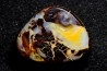 OPALE BOULDER - Australia