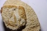 Glyphea muensteri - oxfordien - Haute Saône, FRANCE