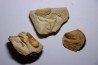 set of 3 Glyphea - oxfordien - Haute Saône, FRANCE
