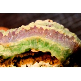 AMETHYSTE WITH botryoidal FLUORITE  Nancy Hanks Claim  Mesa Co., Colorado -USA