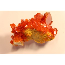 VANADINITE sur BARYTE- Mibladen, Maroc