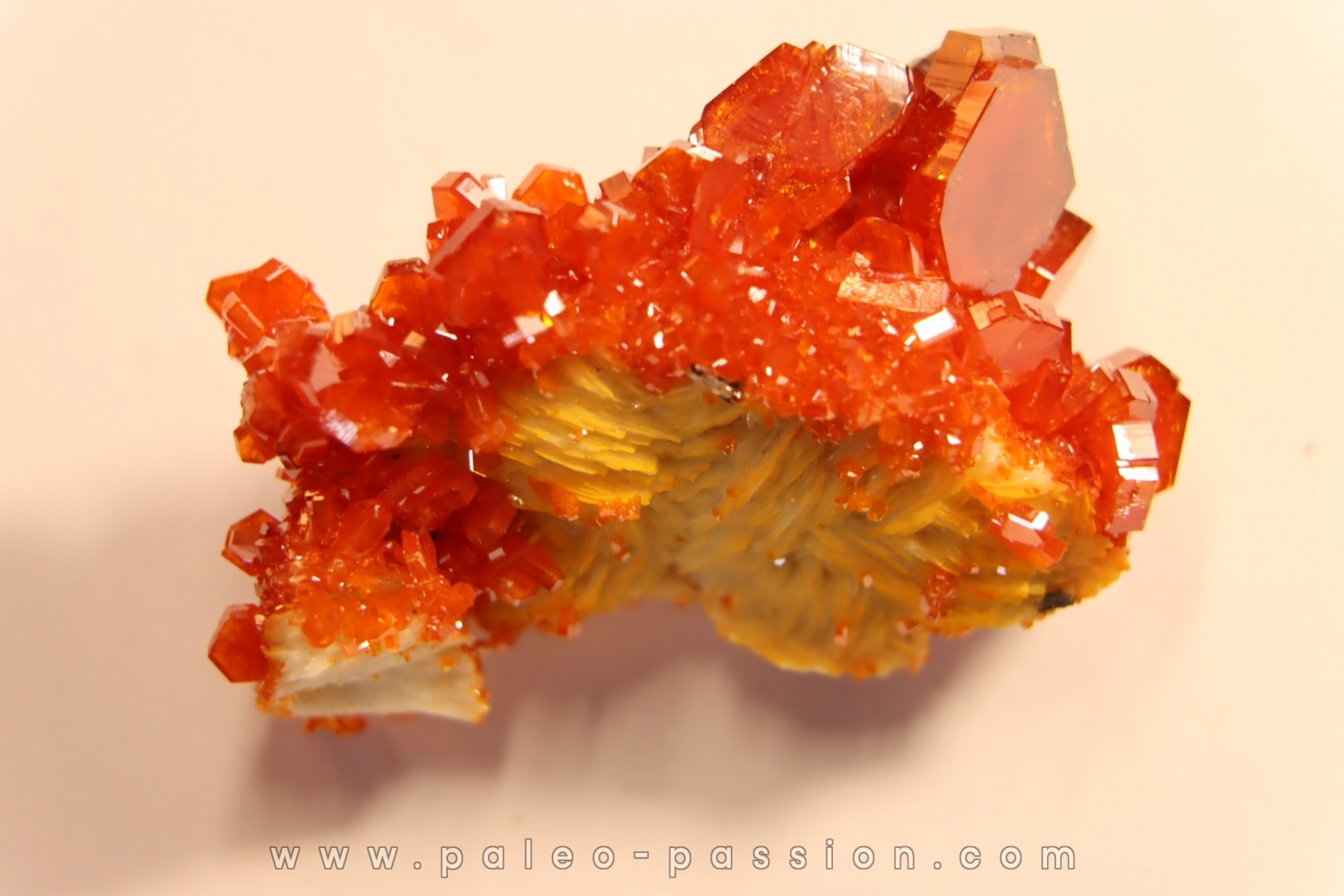 VANADINITE sur BARYTE- Mibladen, Maroc