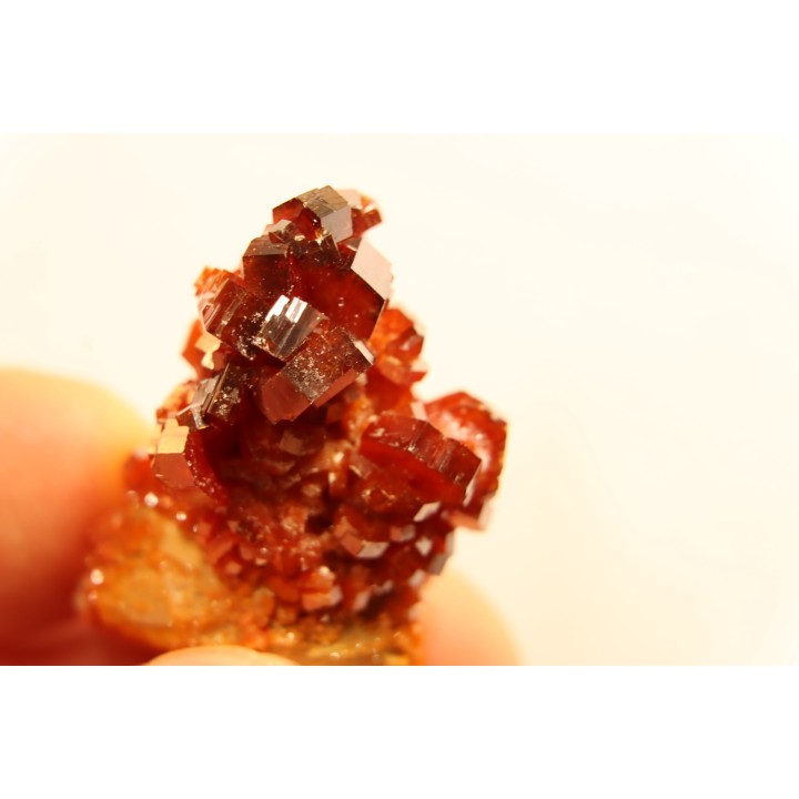 VANADINITE sur BARYTE- Mibladen, Maroc