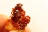 VANADINITE sur BARYTE- Mibladen, Maroc