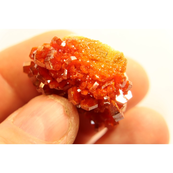 VANADINITE sur BARYTE- Mibladen, Maroc