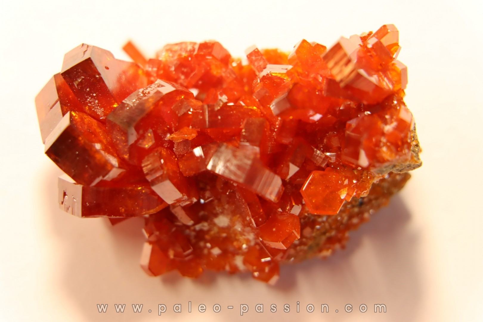 VANADINITE sur BARYTE- Mibladen, Maroc