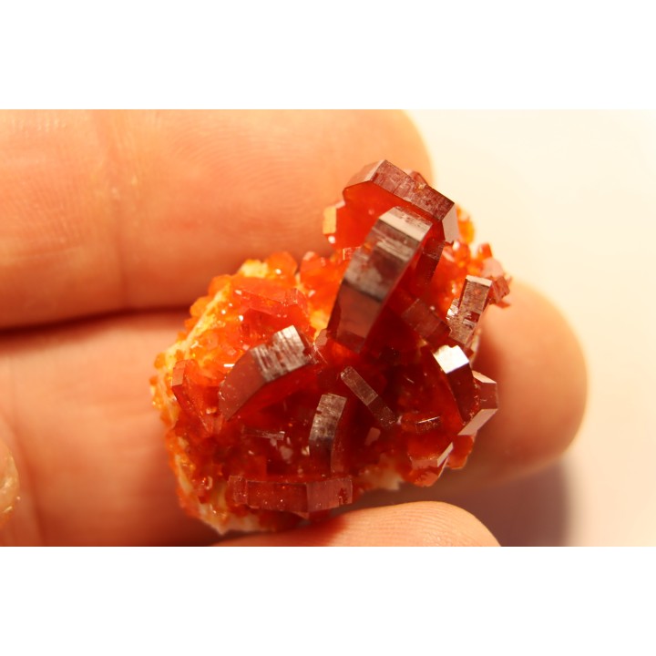VANADINITE sur BARYTE - Mibladen, Maroc