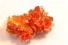 VANADINITE sur BARYTE// Mibladen, Morocco