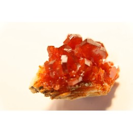 VANADINITE sur BARYTE// Mibladen, Morocco